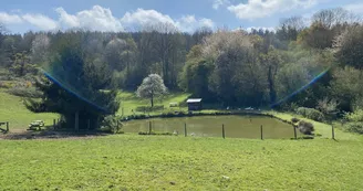 Ferme Pédagogique Pat'à foin Kids Ferme Pédagogique Pat'à foin Kids
