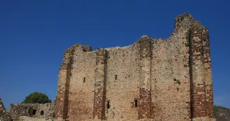 PCU53-Donjon-Sainte-Suzanne