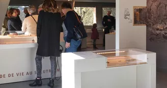 Musée