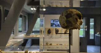 musée