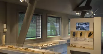 Musée