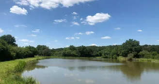 8100766.jpg 8100766.jpg