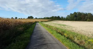 8109711.jpg 8109711.jpg