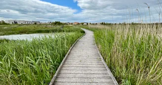 Marais de Tasdon