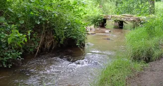 Niort - sentier au fil du temps Niort - sentier au fil du temps