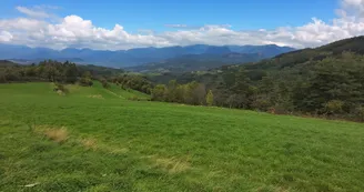 Paysage Paysage