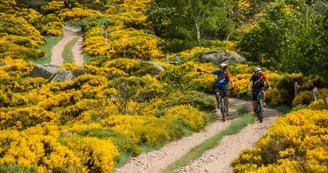 GTA VTT Montselgues GTA VTT Montselgues
