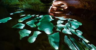 Grotte de Saint-Marcel-D'Ardèche Grotte de Saint-Marcel-D'Ardèche