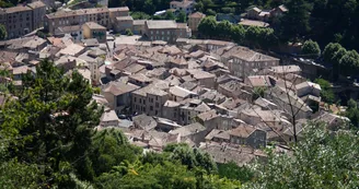 3977660.jpg 3977660.jpg