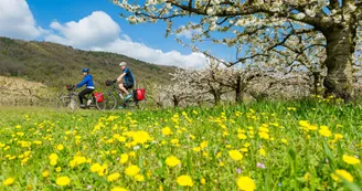 Cyclistes sur ViaRhôna au printemps