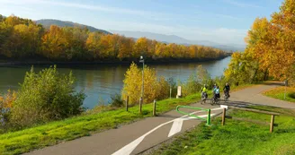 Bord du Rhône à vélo près d'Andancette