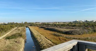 Marais de Tasdon