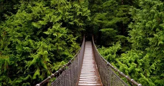 Lynn Canyon Park & Suspension Bridge