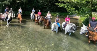 Balade Ecurie Optimum Horses
