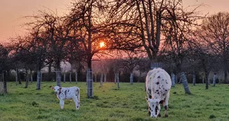 La Ferme de la Vallée au tanneur La Ferme de la Vallée au tanneur