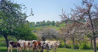 La Ferme de la Vallée au tanneur La Ferme de la Vallée au tanneur