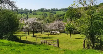 La Ferme de la Vallée au tanneur La Ferme de la Vallée au tanneur