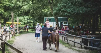 Manège à poneys (2)