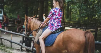 Manège à Poneys (3)