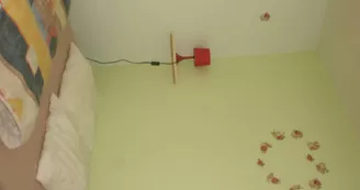 chambre double chambre double