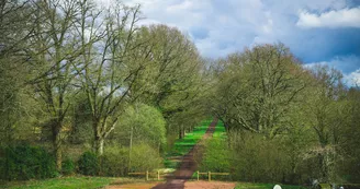 Domaine de Chapeau - Allée champêtre Domaine de Chapeau - Allée champêtre