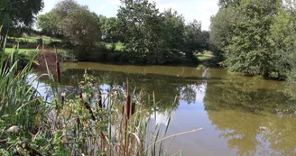 etang