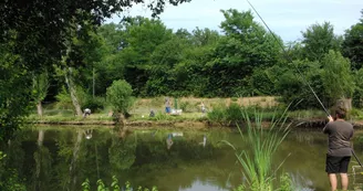 Etang de pêche
