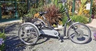 Tricycle Maxi Comfort® avec cadre abaissé et assistance électrique