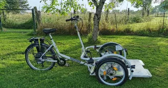 Vélo transporteur VéloPlus® à assistance éléctrique