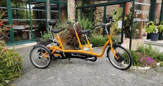 Tandem tricycle adulte Twinny Plus® avec assistance électrique