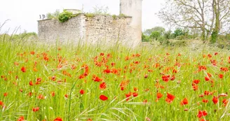 Tourelles-de-Parcé