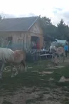Camping La Faye