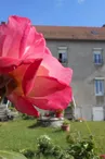 Chambre Evelyne Cavallero