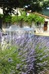 Gîte de Peyre