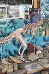 Sur les traces des premiers dinosaures
