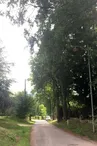 Allée des Chênes