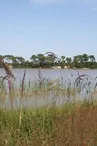 Site naturel de l'étang de Bellebouche