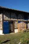 2023_cugnet_ecureuil (1) (Copier)