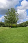 L'Etang-Bertrand-Aire-naturelle