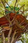 Contre plonglée La Cabane Insolite