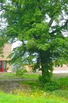 Gîte de séjour n°88820 "FERME PÉDAGOGIQUE" – LIART