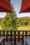 Vue depuis la terrasse