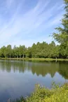 Etang de Champfrémont